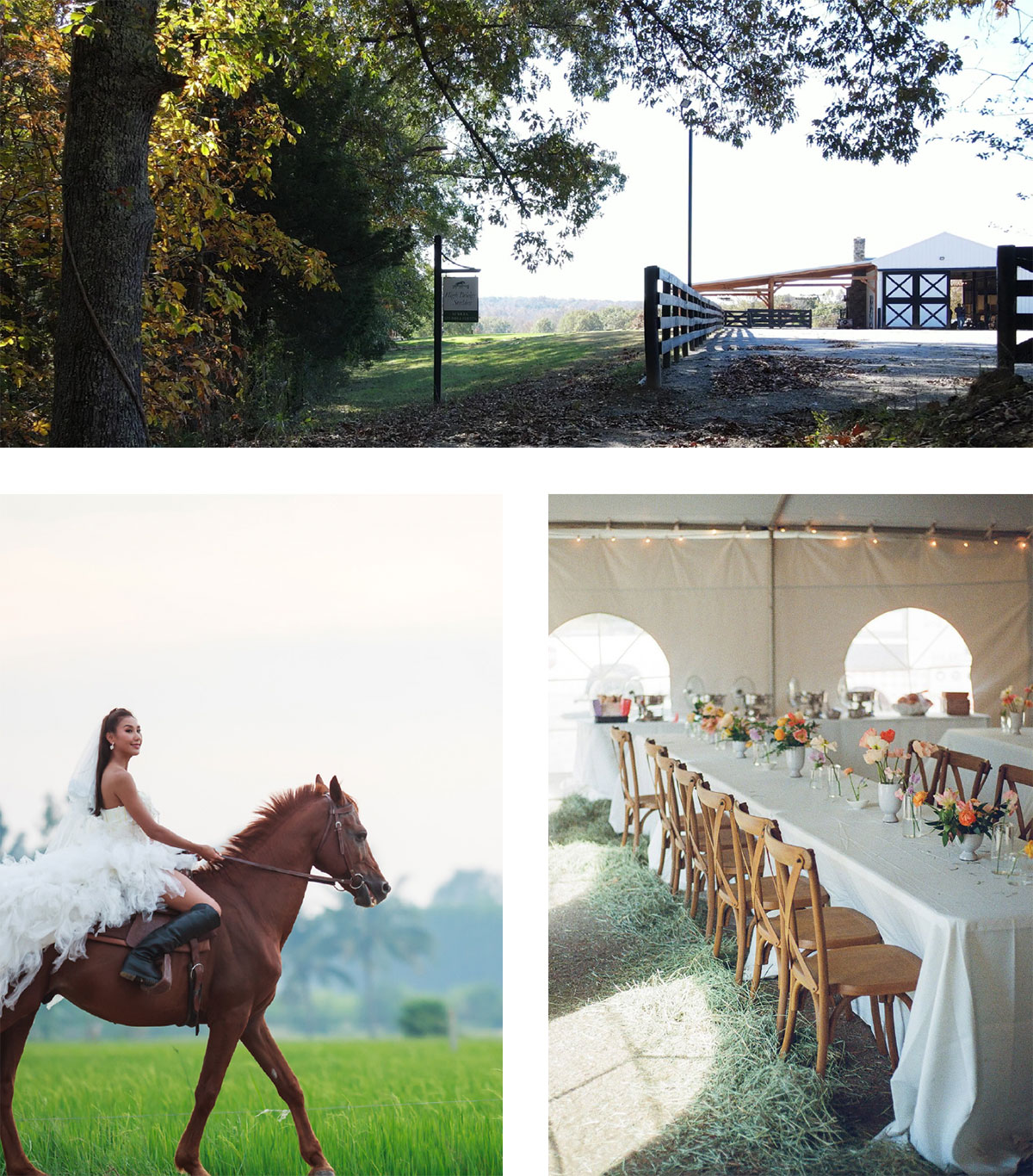 The Equestrian Ring at High Bridge Stables